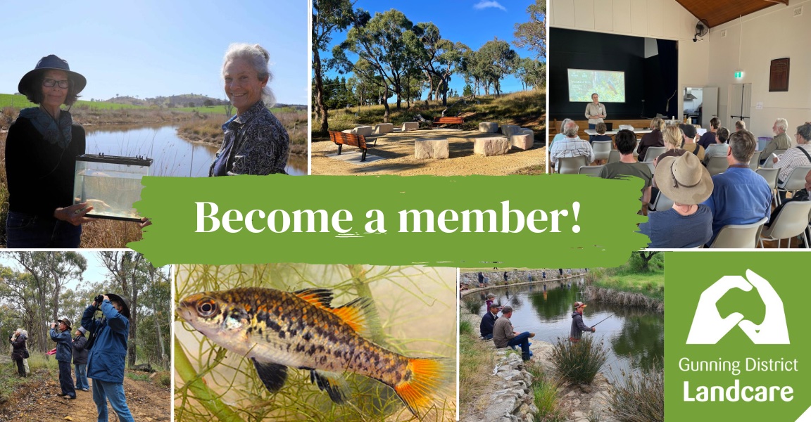 Become a member